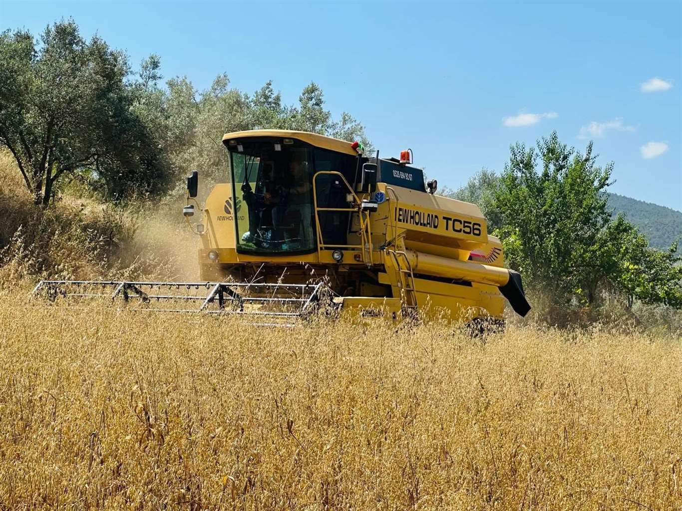 Menteşe'de biçerdöverlere sıkı denetim haberi