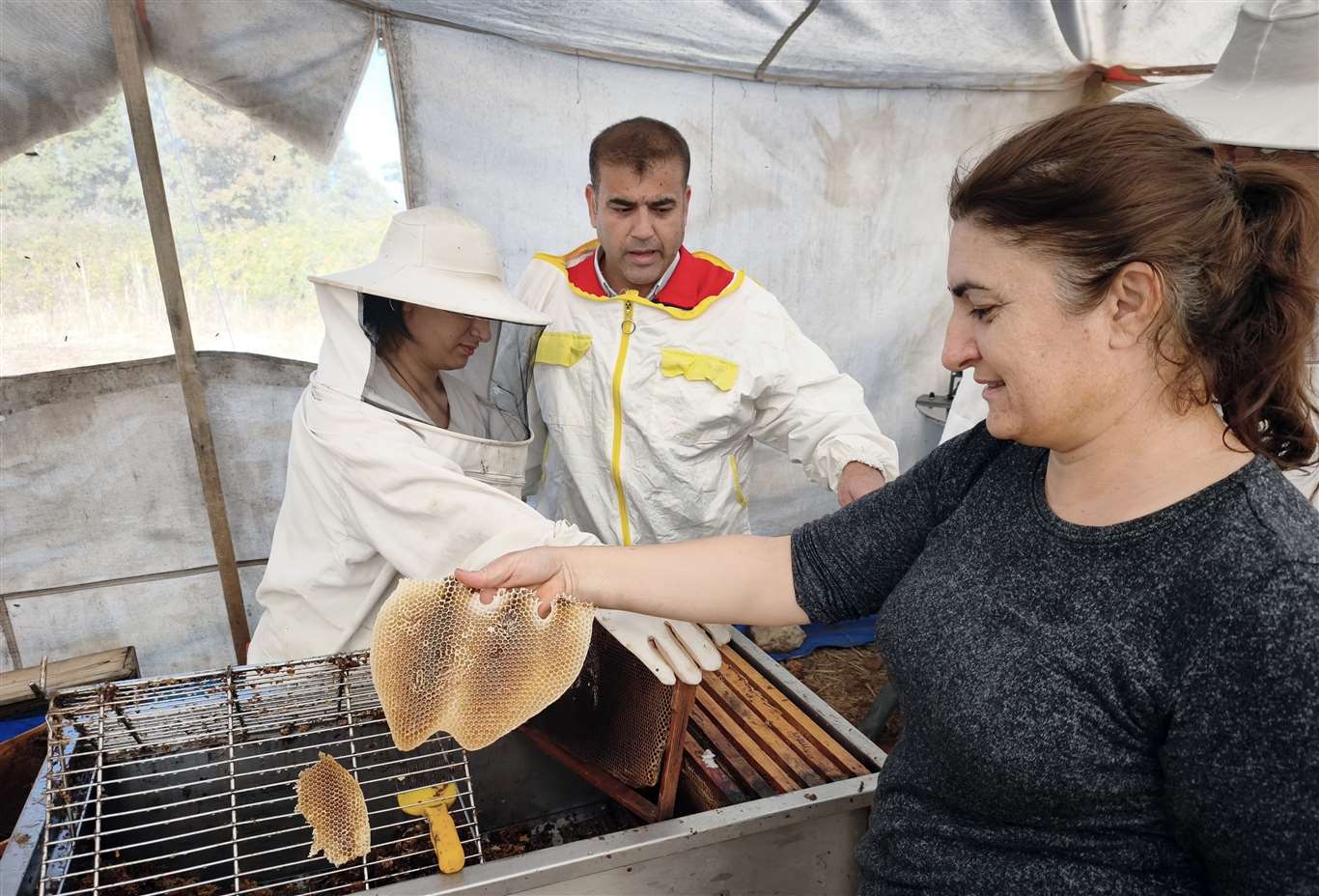 Çam balının başkenti Muğla'da glikozlu bal tepkisi haberi