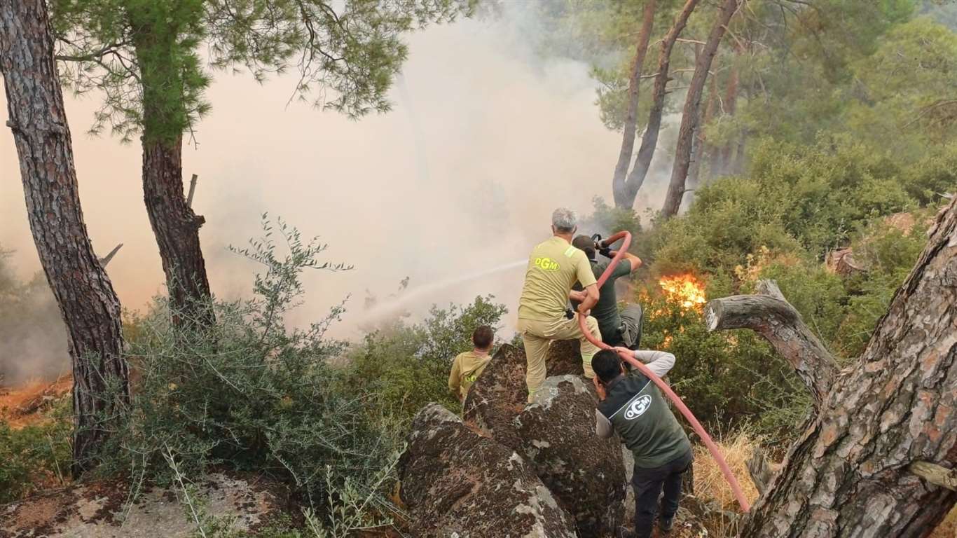 Çine yangınına müdahale ikinci günde sürüyor haberi