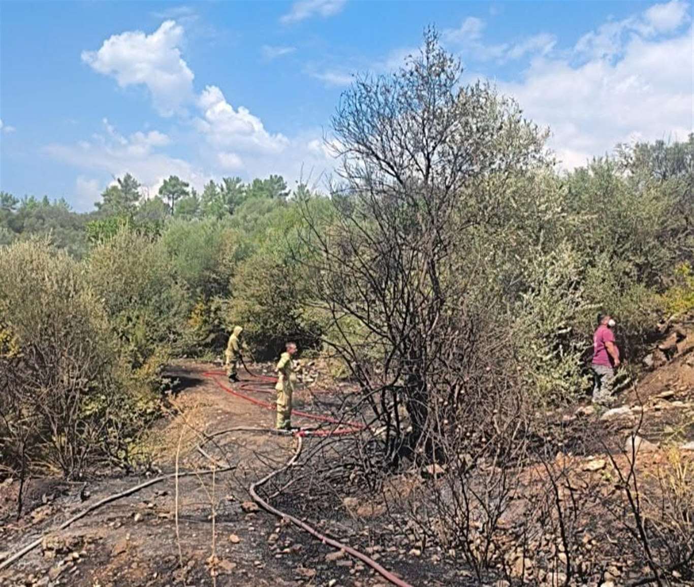 Seydikemer'de zeytinlik alanda yangın haberi