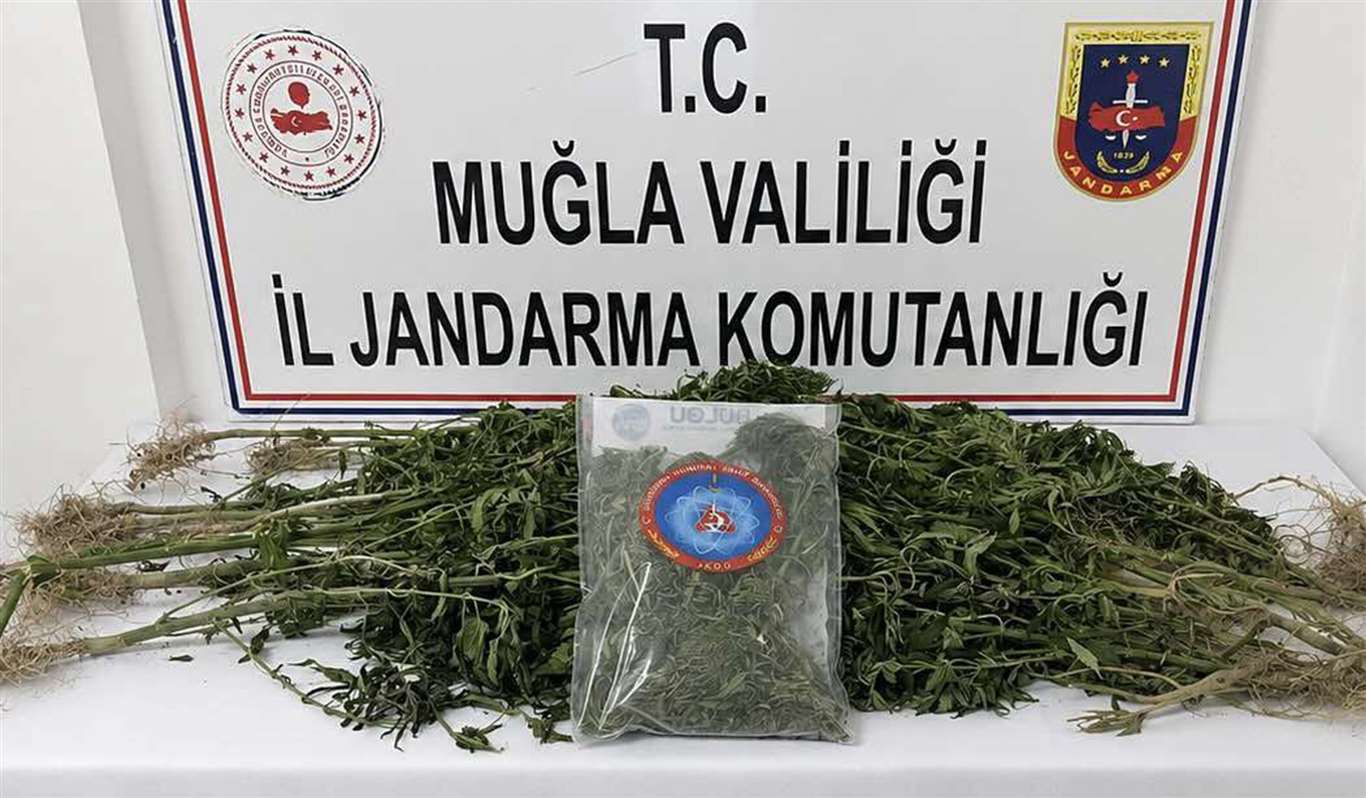       Uyuşturucu operasyonlarında 33 tutuklama haberi