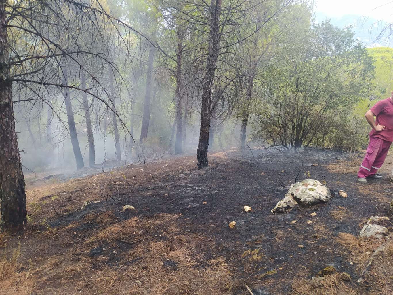  Yatağan'da yıldırım kaynaklı çıkan orman yangın söndürüldü haberi