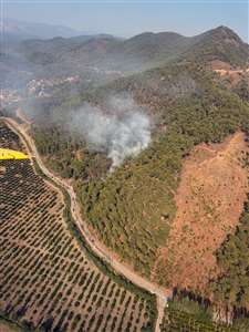          Ortaca'da orman yangını büyümeden söndürüldü haberi