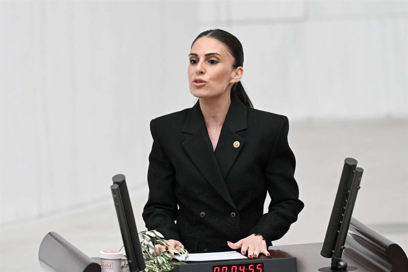 Özcan'dan orman yangınları için eğitim enstitüsü çağrısı haberi