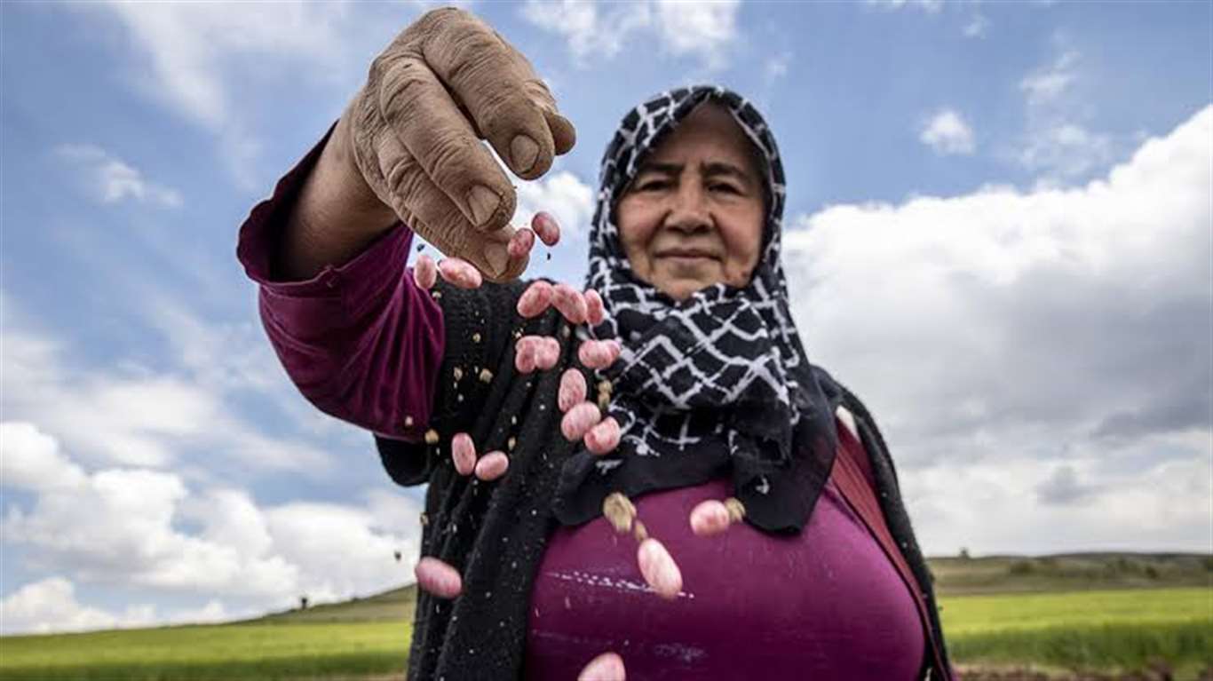 Tarımda son kuşak uyarısı: Dört çiftçiden biri mesleği bırakmak istiyor haberi