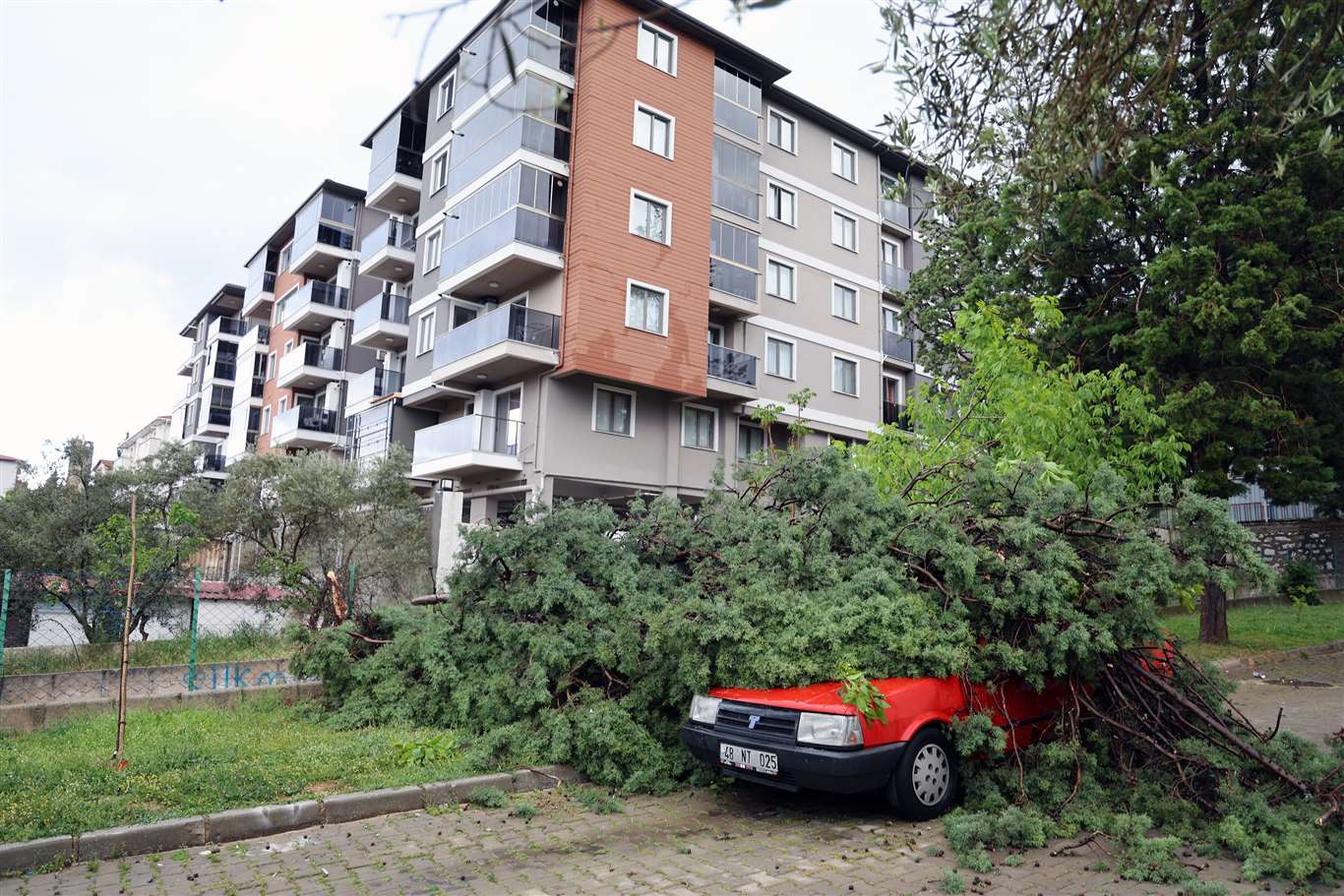 Fırtınada devrilen ağaç, aracın üstüne düştü haberi