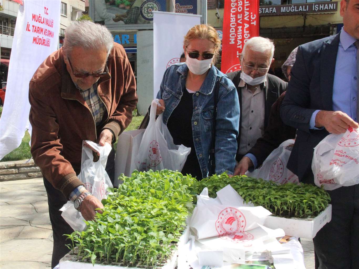          Muğla'da 1 milyon ata tohumu toprakla buluşuyor haberi