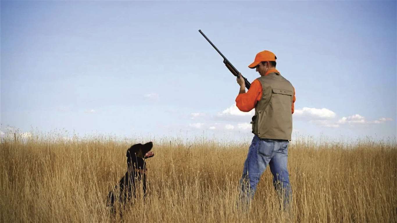 Ağustos ayına kadar avcılık faaliyetleri yasaklandı haberi