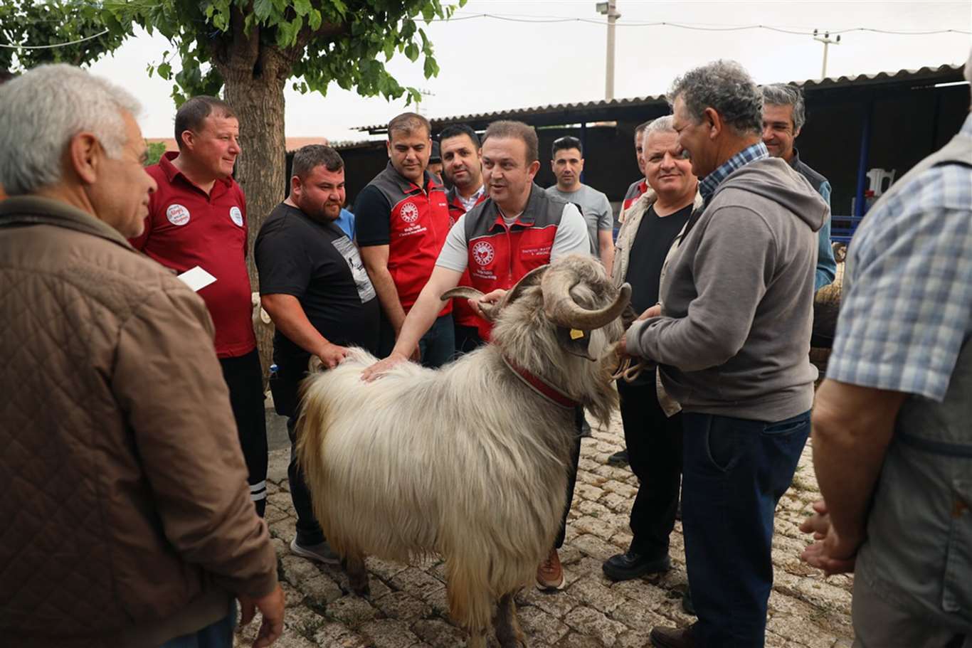    Kurban Bayramı öncesi hijyen ve sağlık denetimi haberi