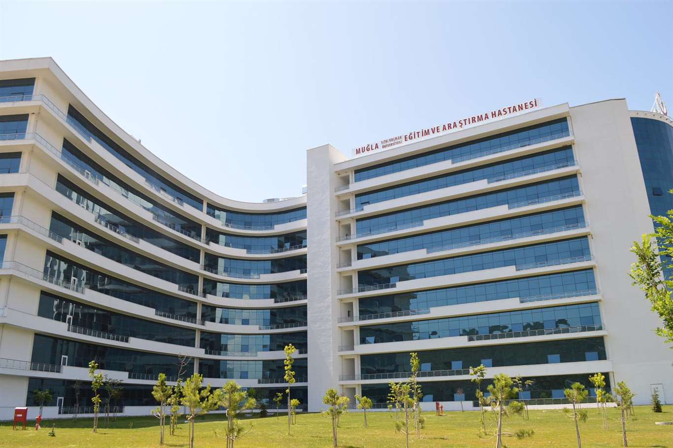 Hastanede böcek kabusu sürüyor haberi