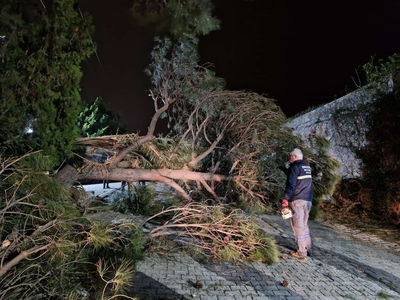 Bodrum'da fırtına etkili oldu: 80 olaya müdahale edildi haberi