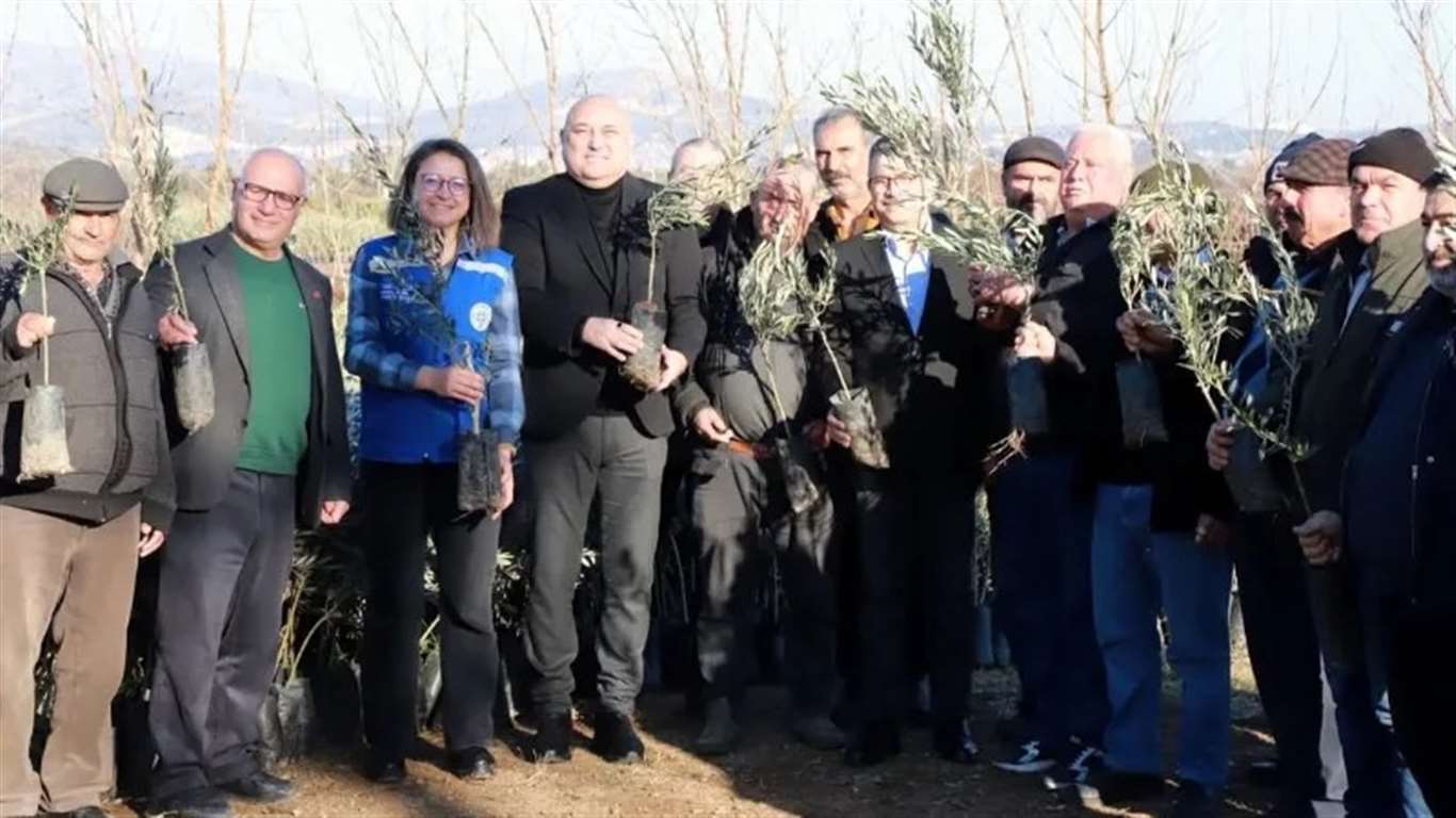 Yatağan'da üreticiye zeytin ve ceviz fidanı desteği haberi