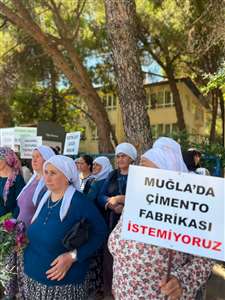 Çimento fabrikası projesinde keşif raporu için suç duyurusu haberi