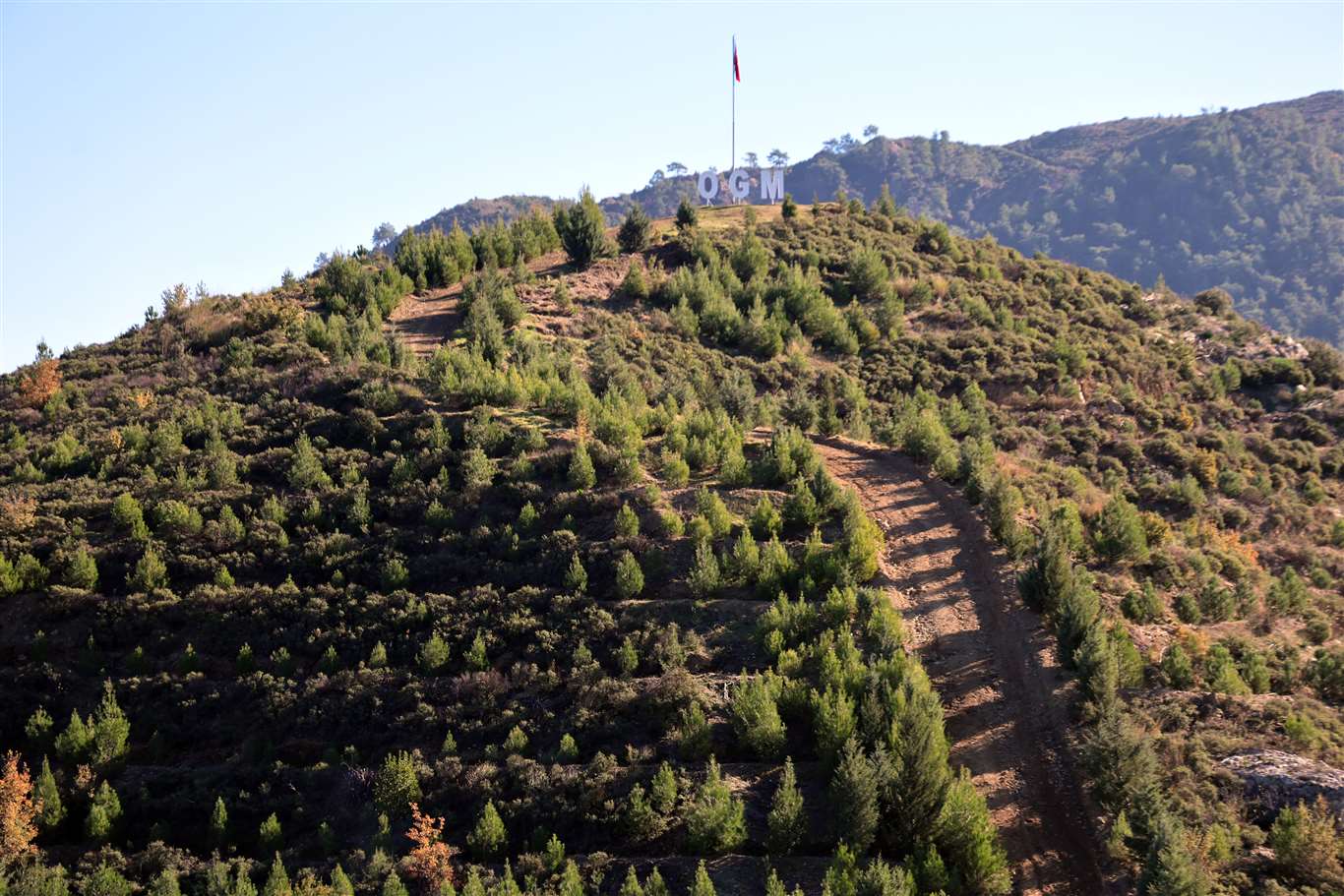 Dalaman'da yanan alanlar 6 yılda yeşile döndü haberi