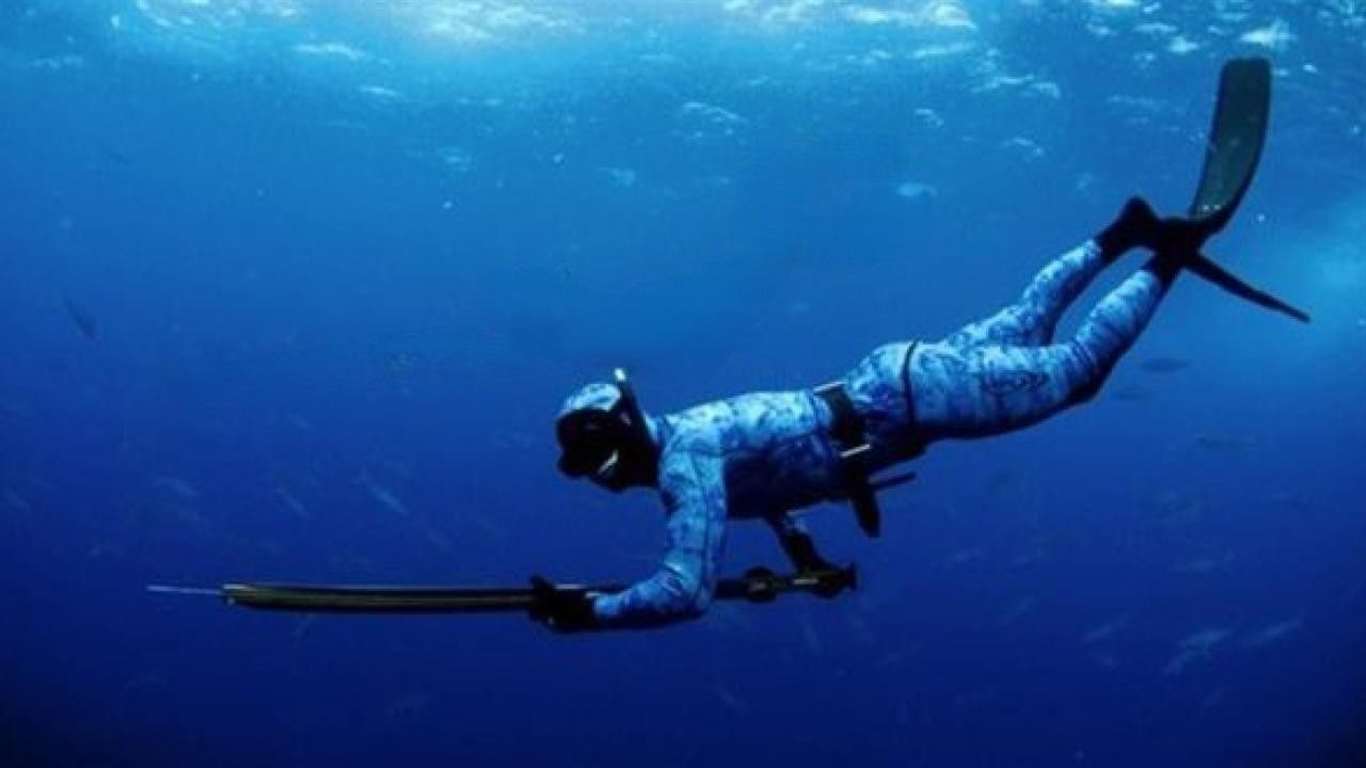 Dalma yöntemiyle amatör su ürünleri avcılığı belgeye bağlandı haberi