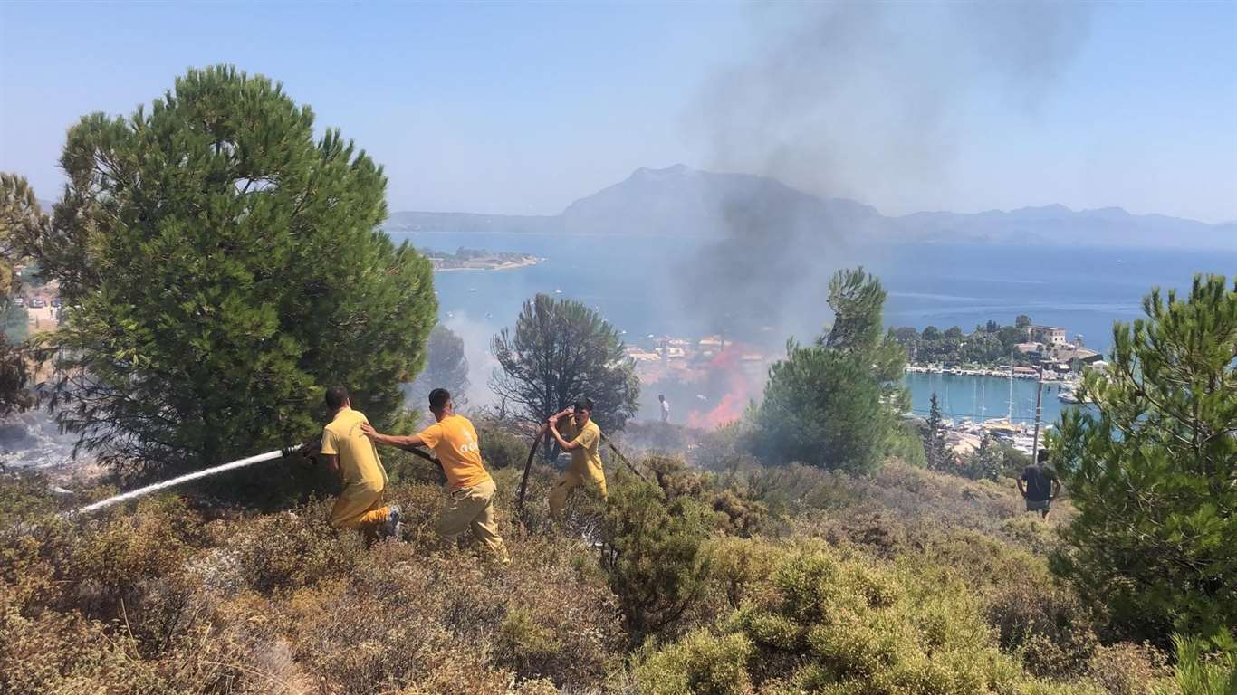 Datça'da makilik alanda yangın çıktı haberi