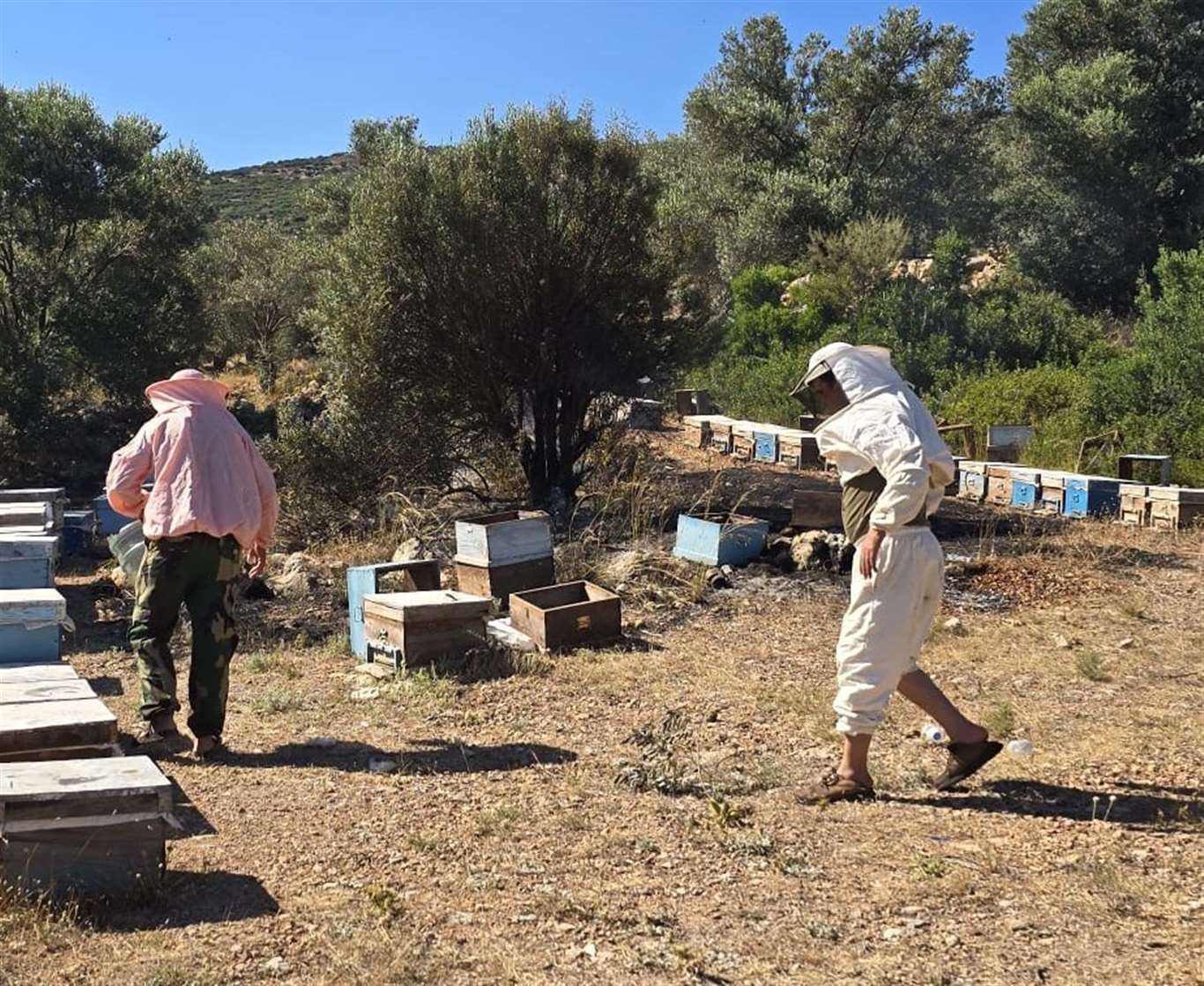  Datça'da çıkan yangın büyümeden söndürüldü haberi
