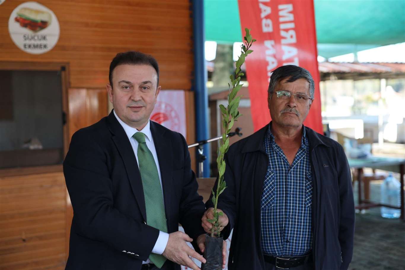 Ula'da üreticilere 38 bin defne fidanı dağıtıldı haberi