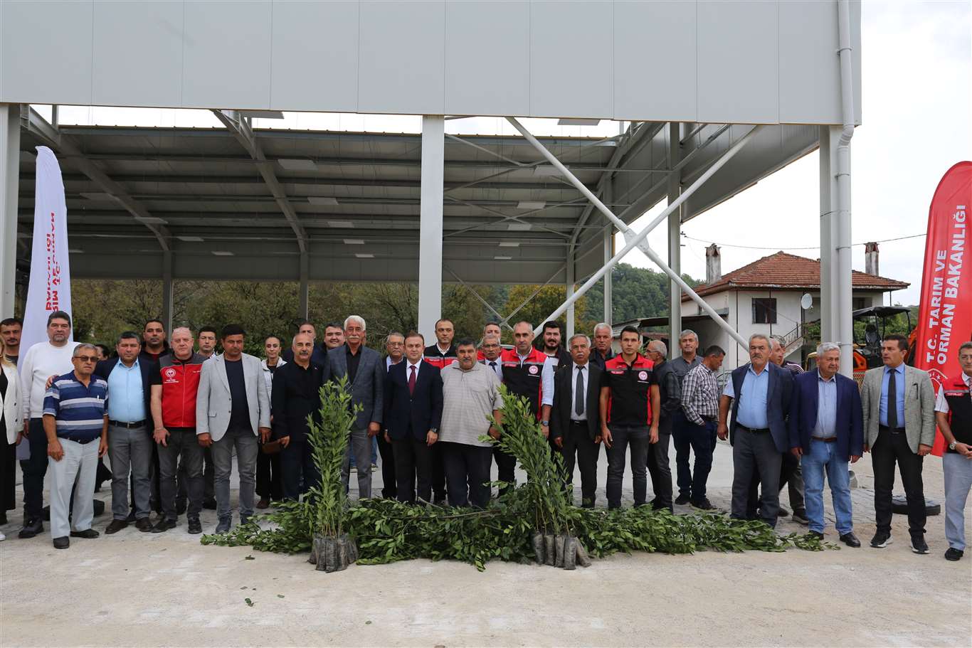 Muğla'da Defne ihracatından 75 milyon dolar bekleniyor haberi