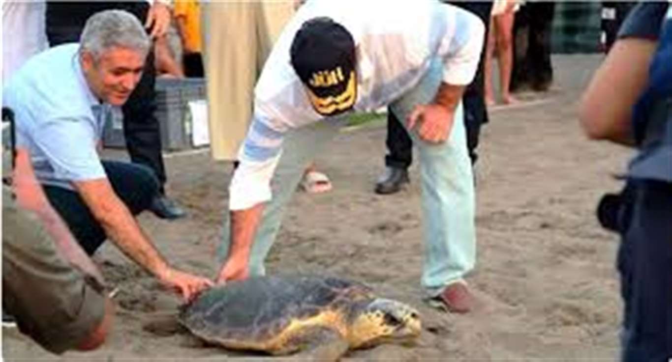 İztuzu kumsalı caretta carettalar için hazırlandı haberi