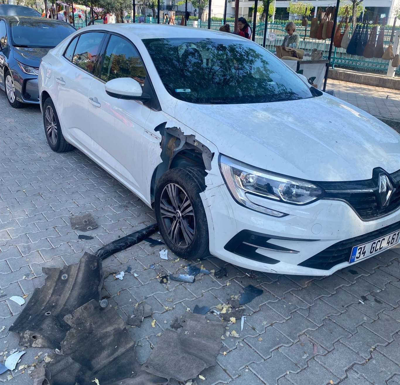 Domuzlar şirket aracını parçaladı haberi
