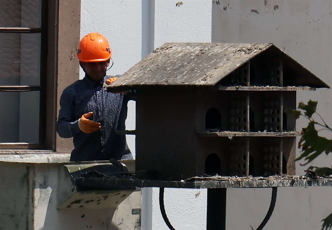 Menteşe'de güvercin yuvaları temizleniyor haberi