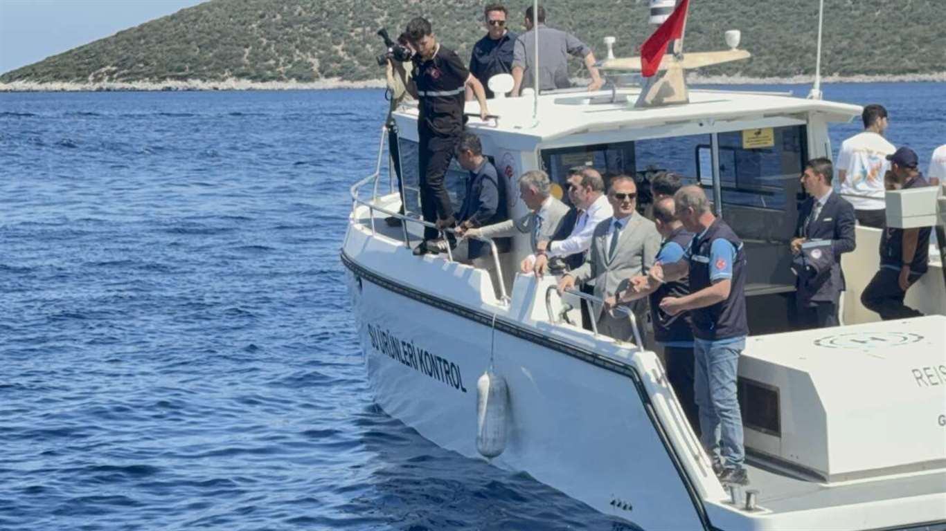    Hayalet ağ temizliğinde yunus sürprizi haberi