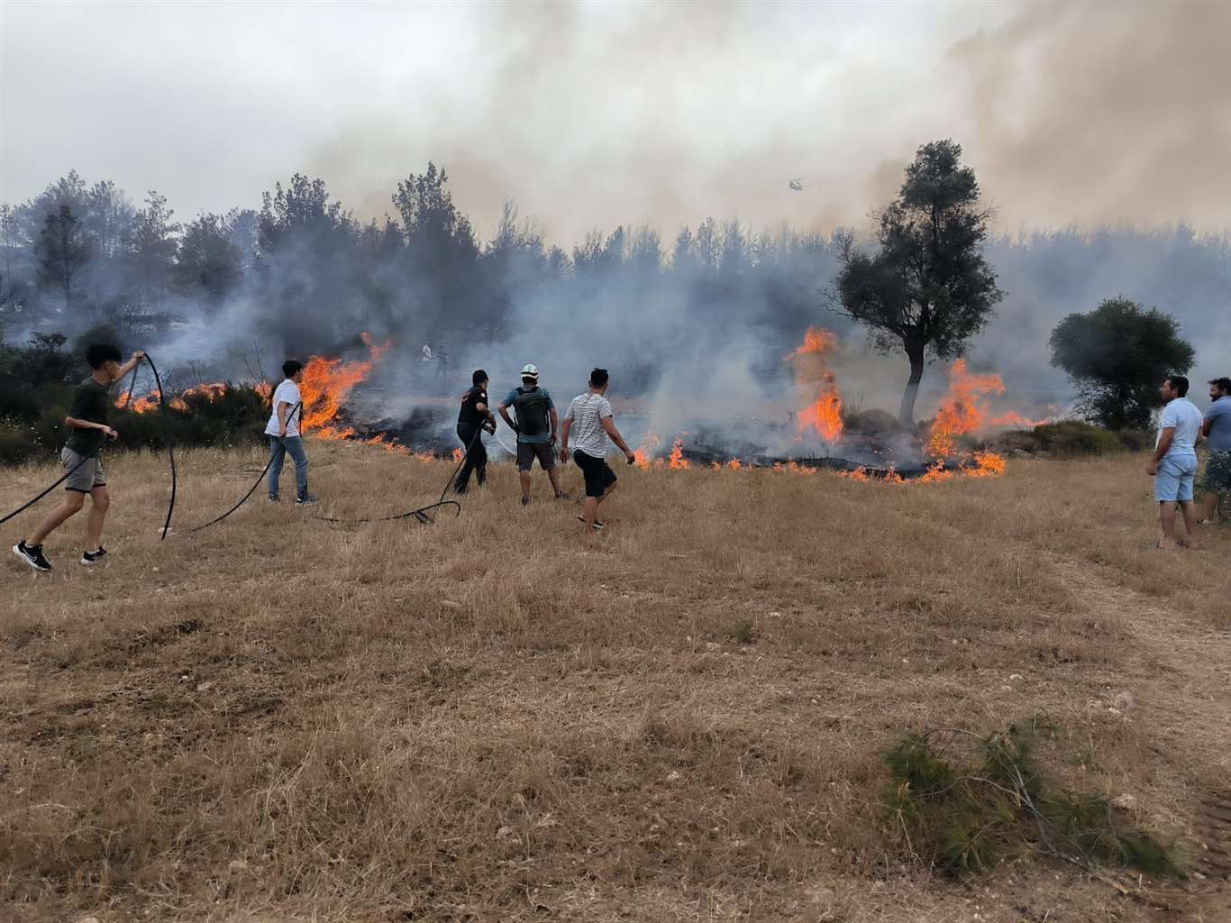İtfaiye ekipleri 6 ayda 380 anız yangınına müdahale etti haberi