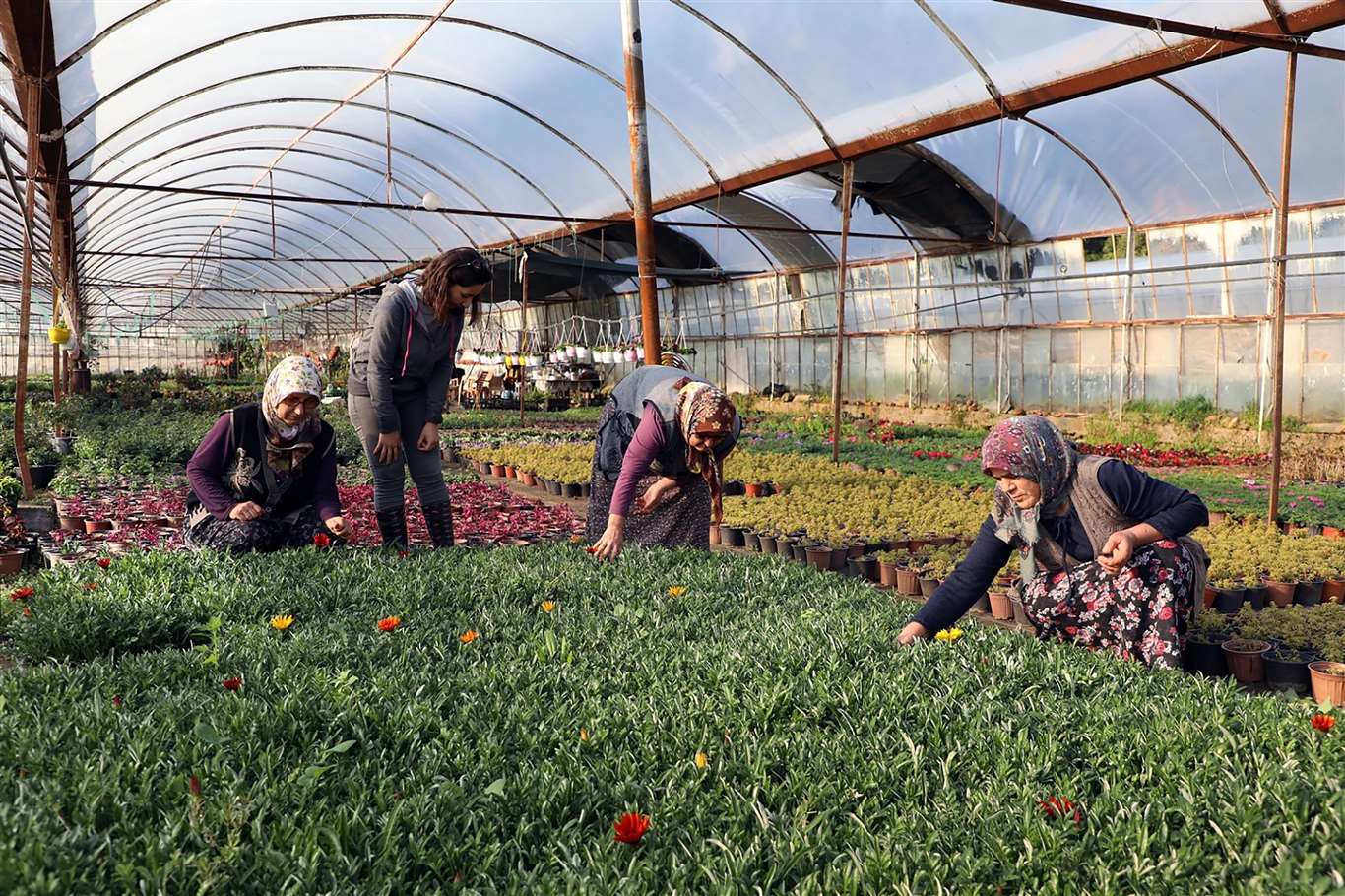    Büyükşehir'den kadın kooperatiflerine güçlü destek haberi
