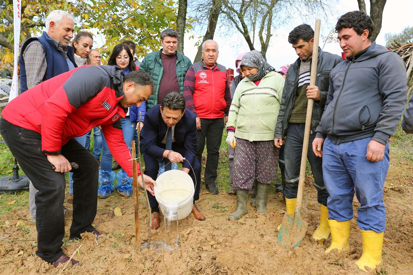 7 bin Kestane ve Trabzon Hurması fidanı dağıtıldı haberi