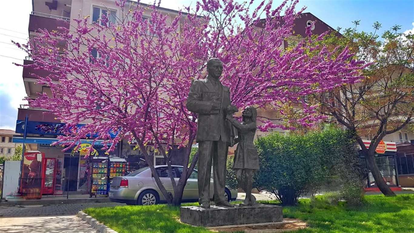 Kötekli'de yağmur suyu hattı çalışması: Ağaçlar yeni yaşam alanlarına taşınacak haberi