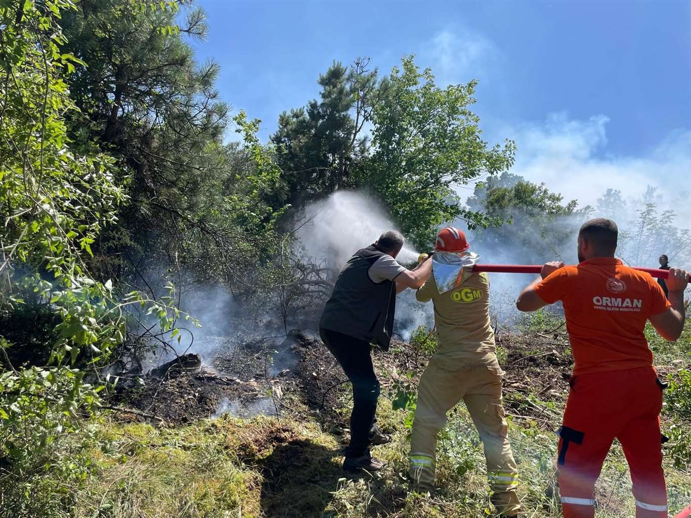 Köyceğiz'de orman yangını ekiplerin hızlı müdahalesiyle kontrol altına alındı haberi