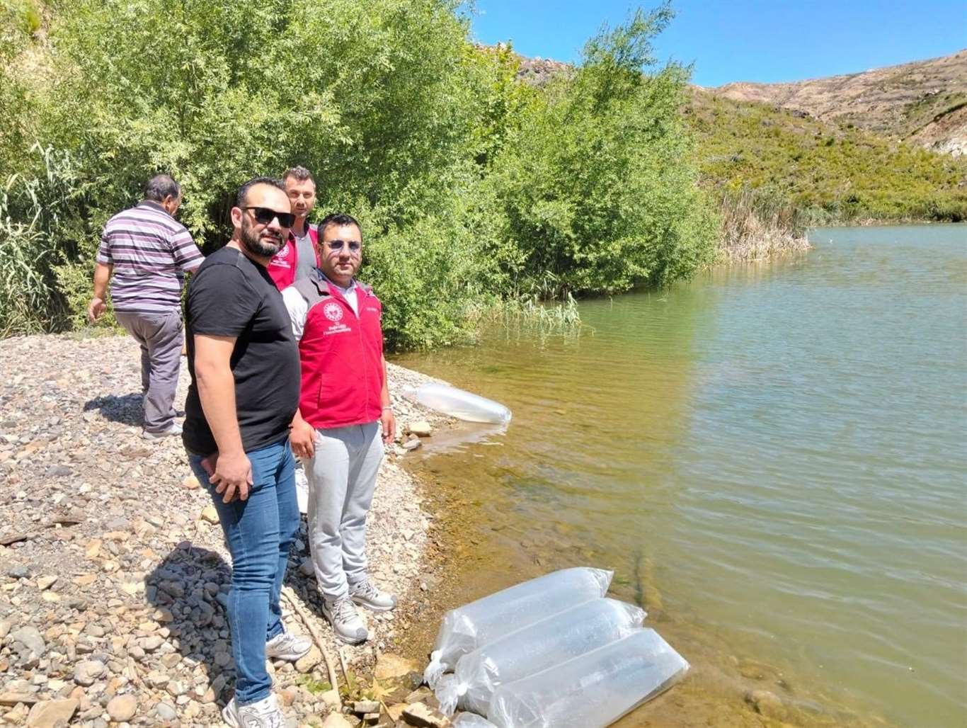 Kozağaç Baraj Gölü'ne 40 bin sazan yavrusu bırakıldı haberi