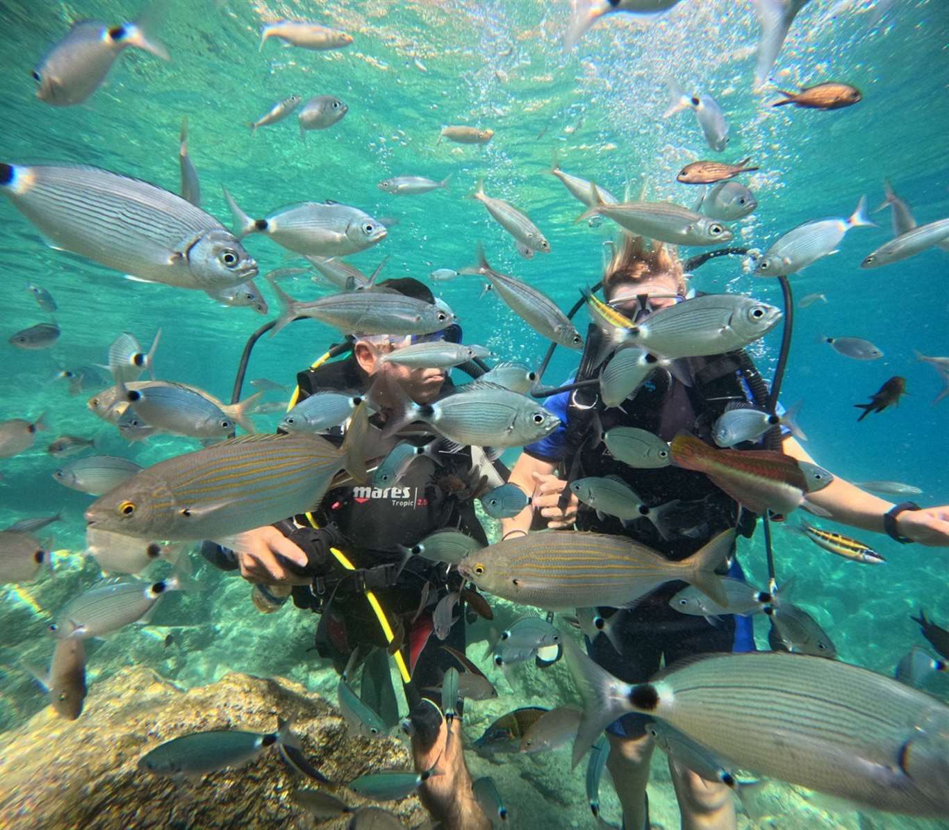 Marmaris'te dalış turizmine ilgi artıyor haberi
