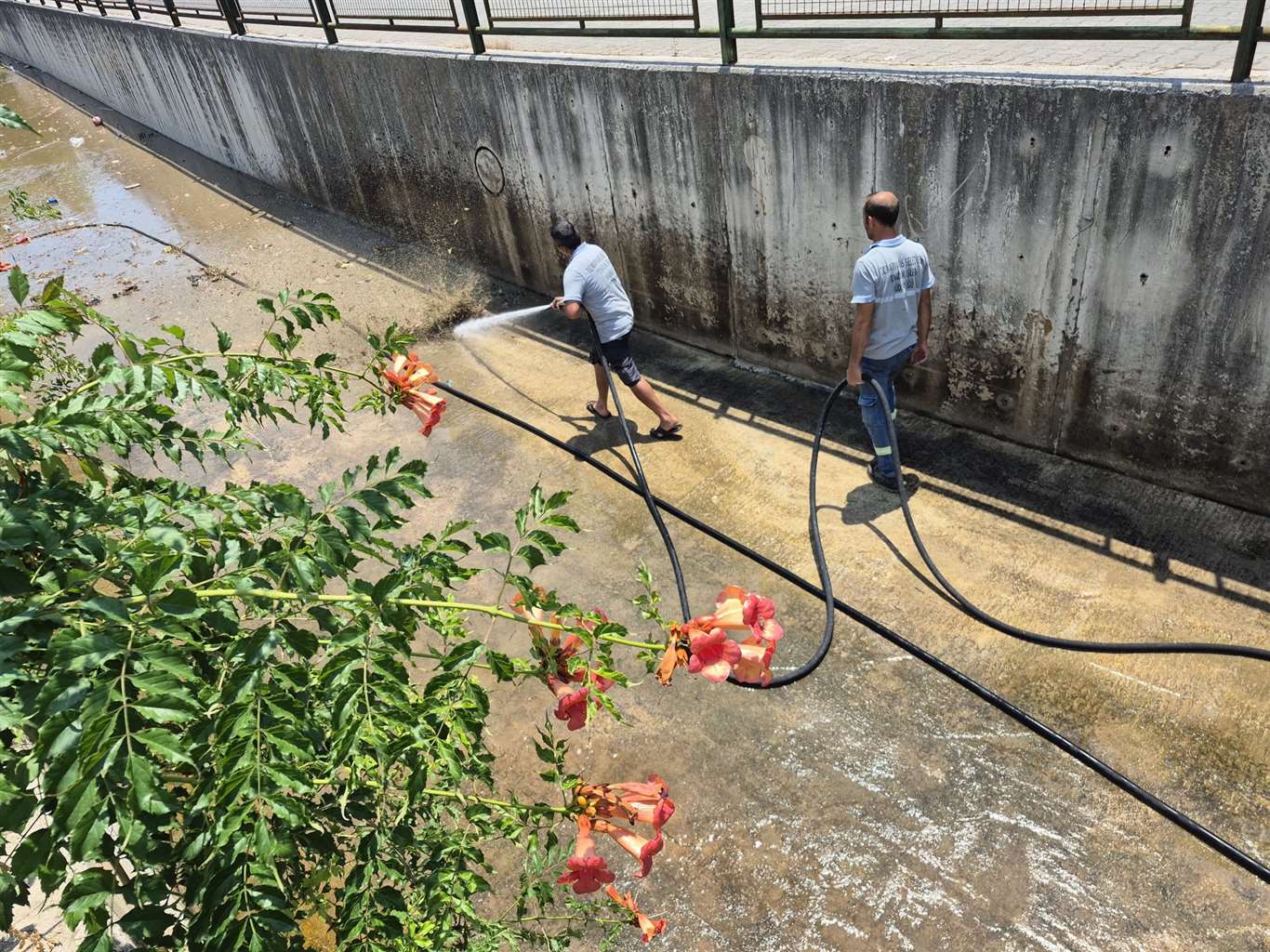  Marmaris Belediyesi'nden derelerde temizlik mesaisi haberi