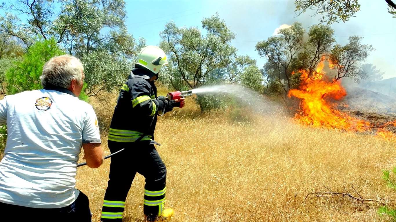 Menteşe'de otluk ve zeytinlik alanda çıkan yangın söndürüldü haberi