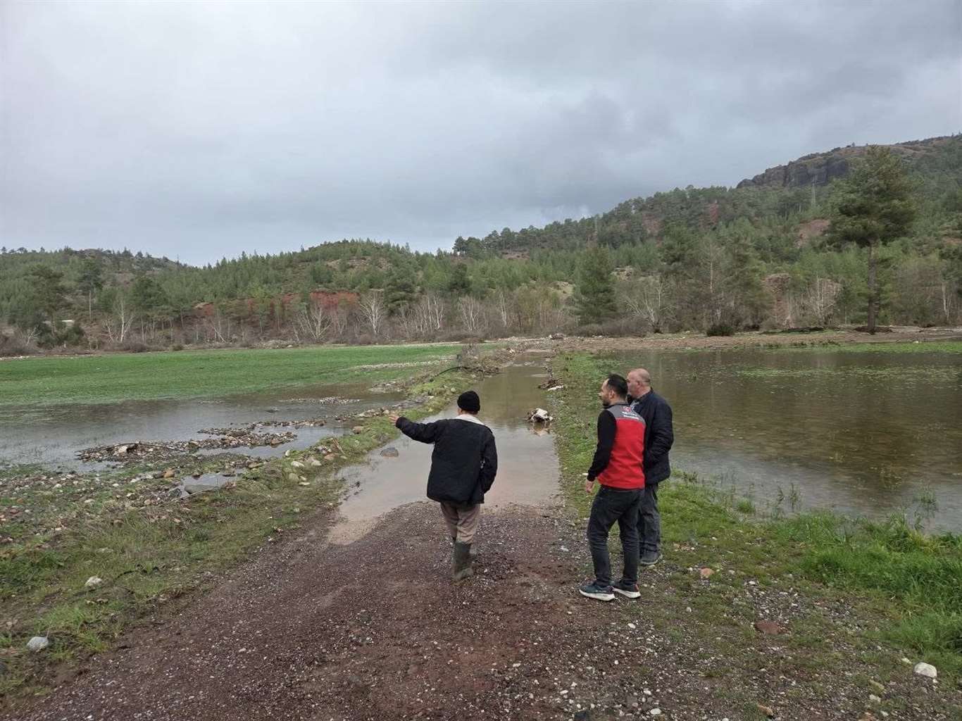 Menteşe'de sağanak yağışların ardından tarım arazilerinde hasar tespit çalışmaları başladı haberi