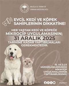 Muğla'da evcil hayvan sahiplerine mikroçip uyarısı haberi