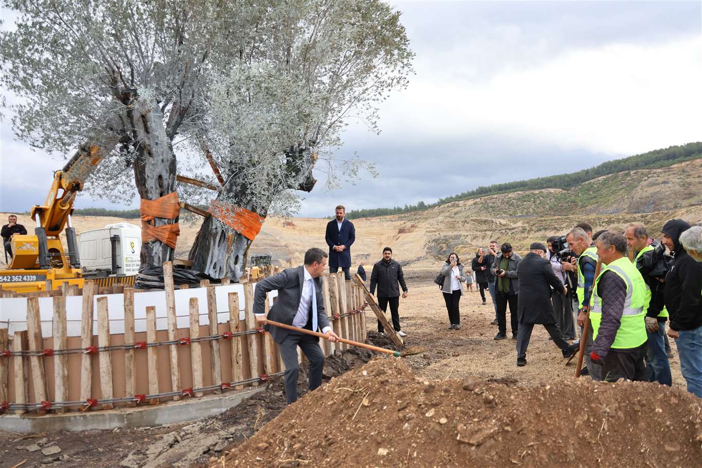 300 yıllık zeytin ağacı yeni yerine taşındı haberi