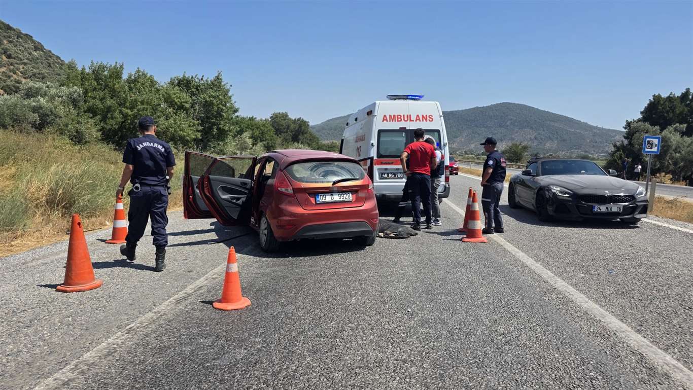 Milas'ta feci kaza: 14 yaşındaki çocuk hayatını kaybetti haberi