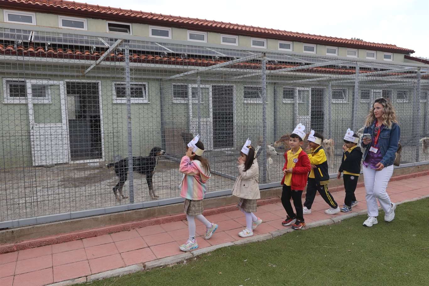       Çocuklar, Dünya Hayvanları Koruma Günü'nde can dostlarla buluştu haberi