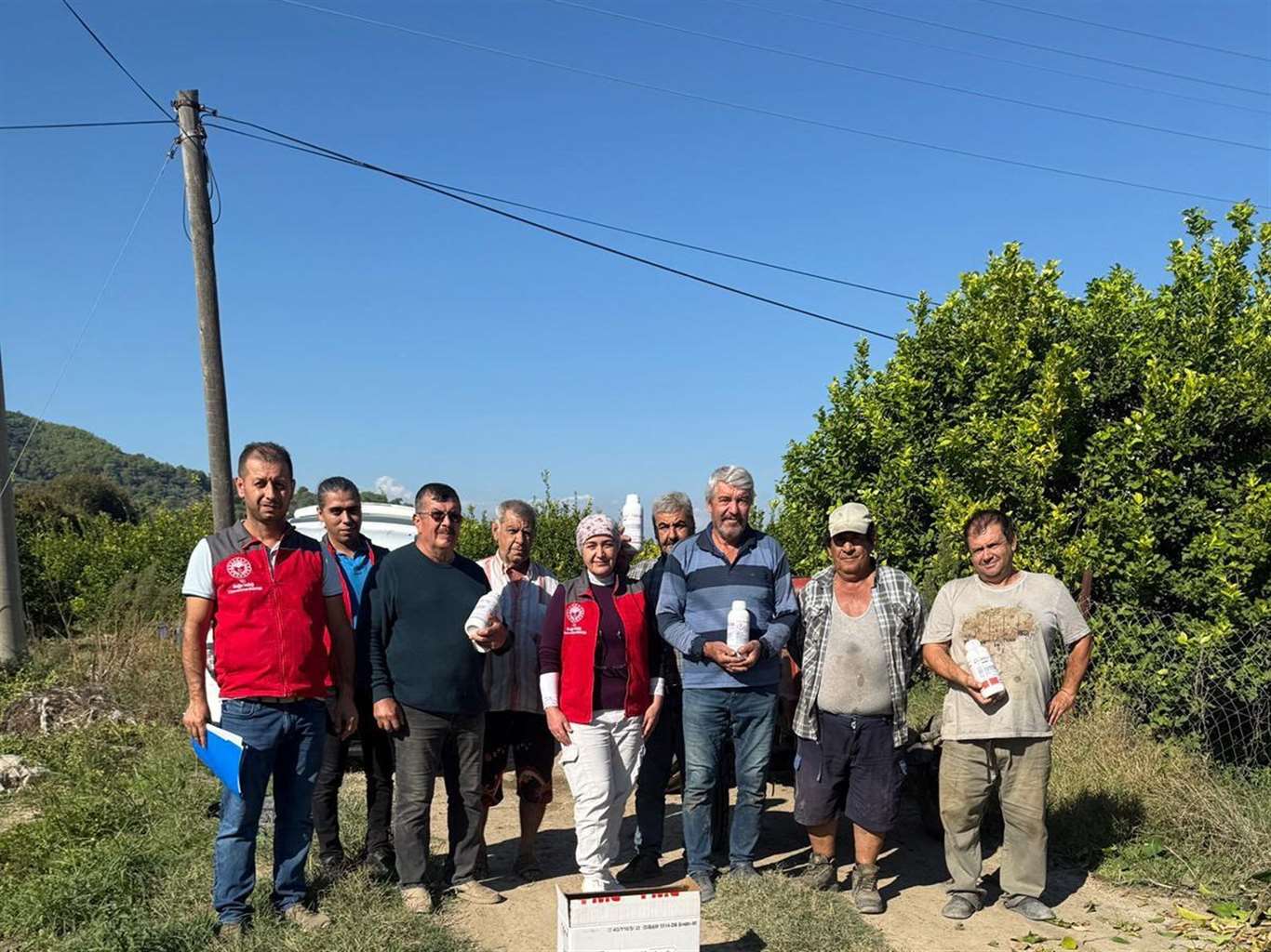 Narenciye bahçelerinde zararlı mücadelesi sürüyor haberi