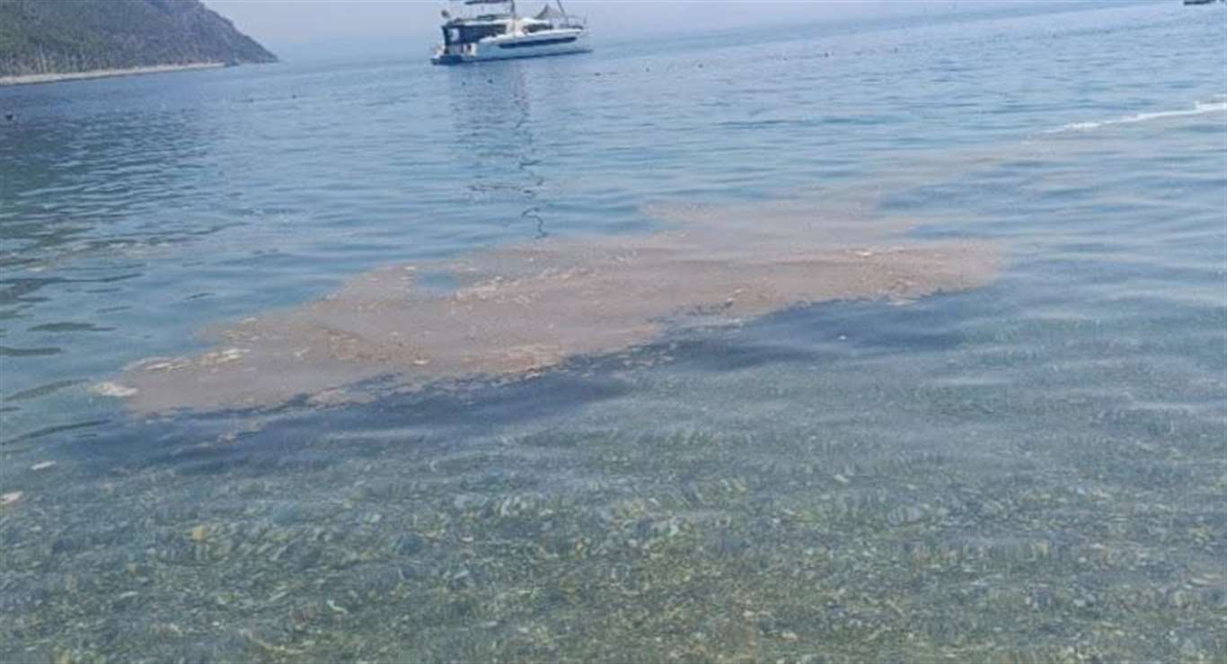 Ören sahilinde deniz kirliliği tepki çekiyor haberi