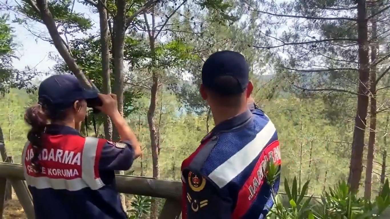 Muğla'da 50 ormana giriş yasağı başlıyor haberi