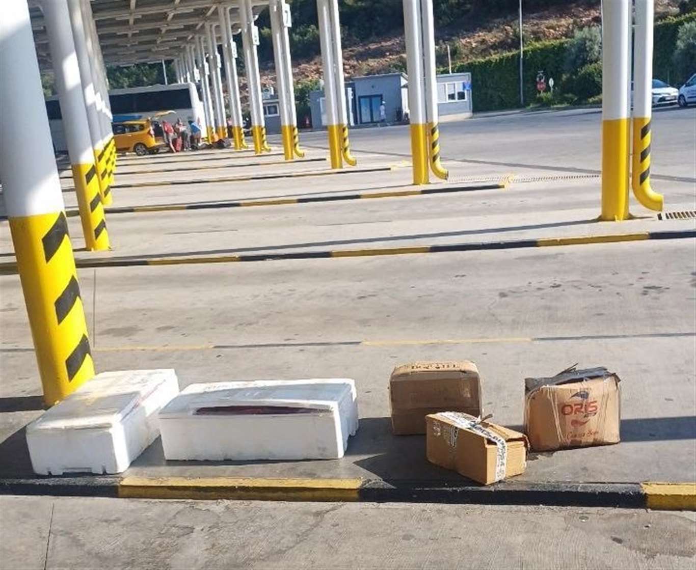 Menteşe otogarda sahipsiz midyelere el konuldu haberi