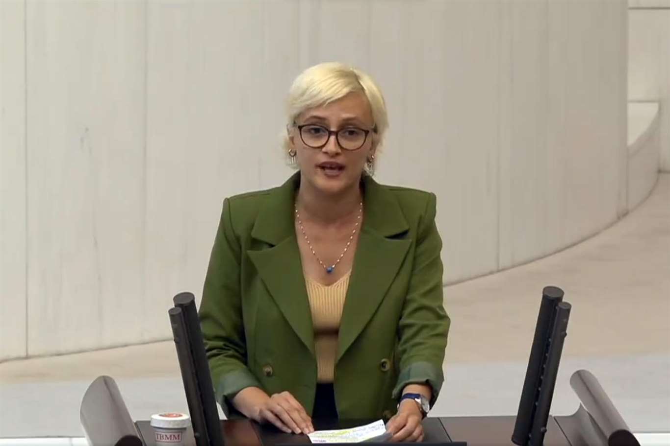 Muğla'da orman sınırları dışına çıkarılan alanları meclis gündemine taşıdı haberi