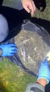 Muğla'da piyasa değeri 4 milyon TL olan uyuşturucu ele geçirildi haberi