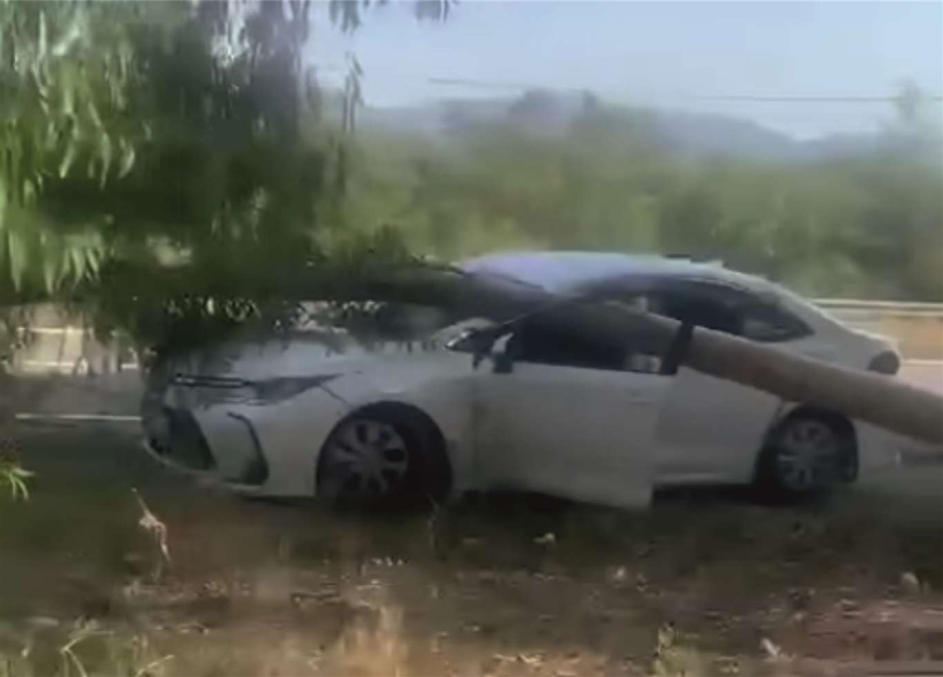 Radar aracının üzerine ağaç devrildi haberi