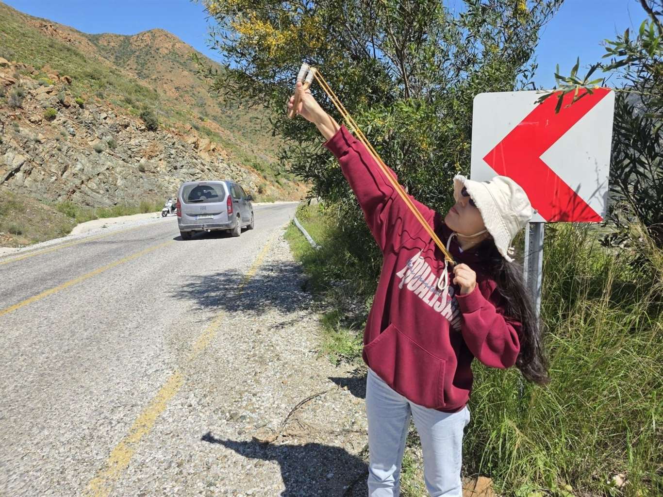 Sapanla tohum topu attılar haberi