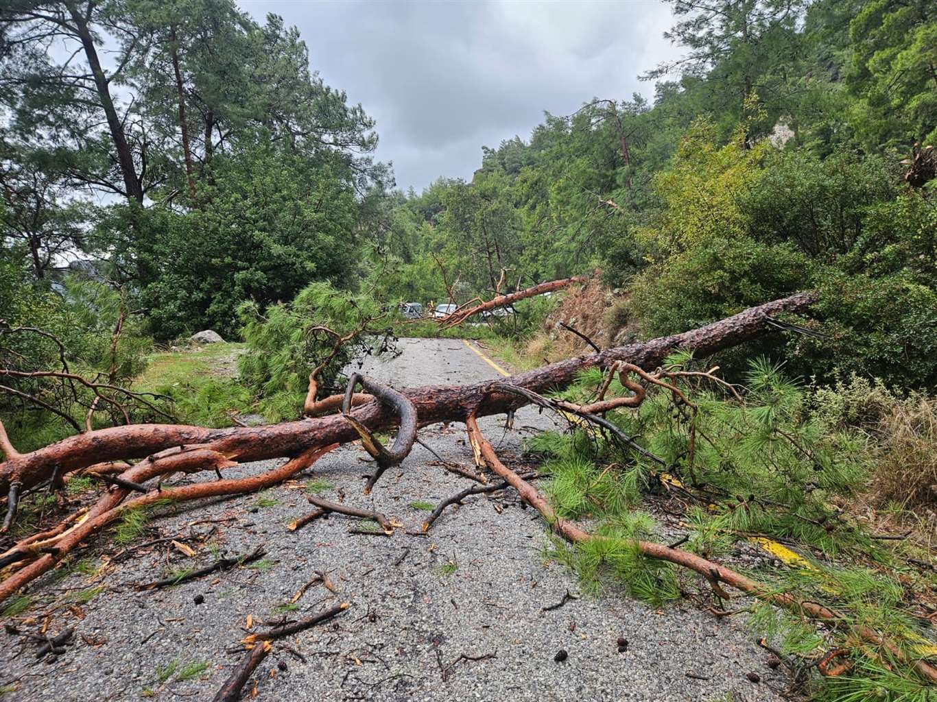 Menteşe Sarnıç'ta şiddetli fırtına ve yağış ulaşımı felç etti haberi